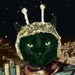 TheCaptainCosmos