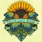 FallenAngelBrass