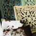 FeaDesign
