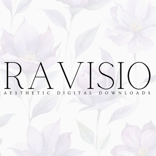 Ravisio store logo