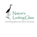 NaturesLookingGlass