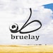 Owner of <a href='https://www.etsy.com/shop/Bruelay?ref=l2-about-shopname' class='wt-text-link'>Bruelay</a>