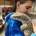 SnakeShedShop