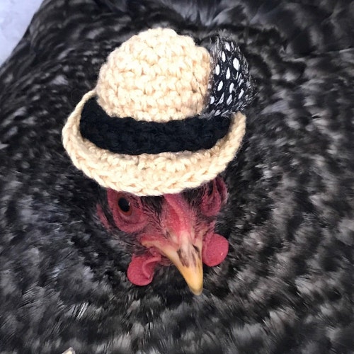 HereChookChook - Etsy Australia