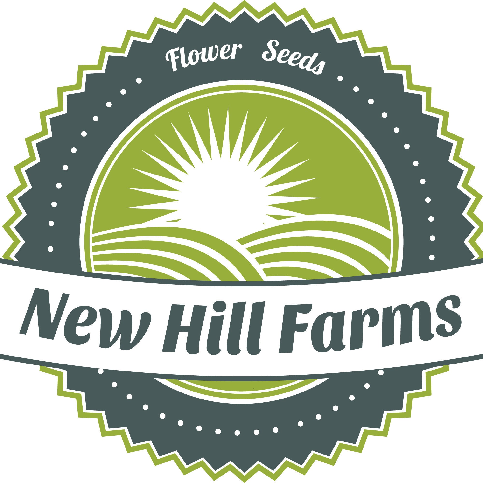 200 Persian Cress Flower Seeds – New Hill Farms