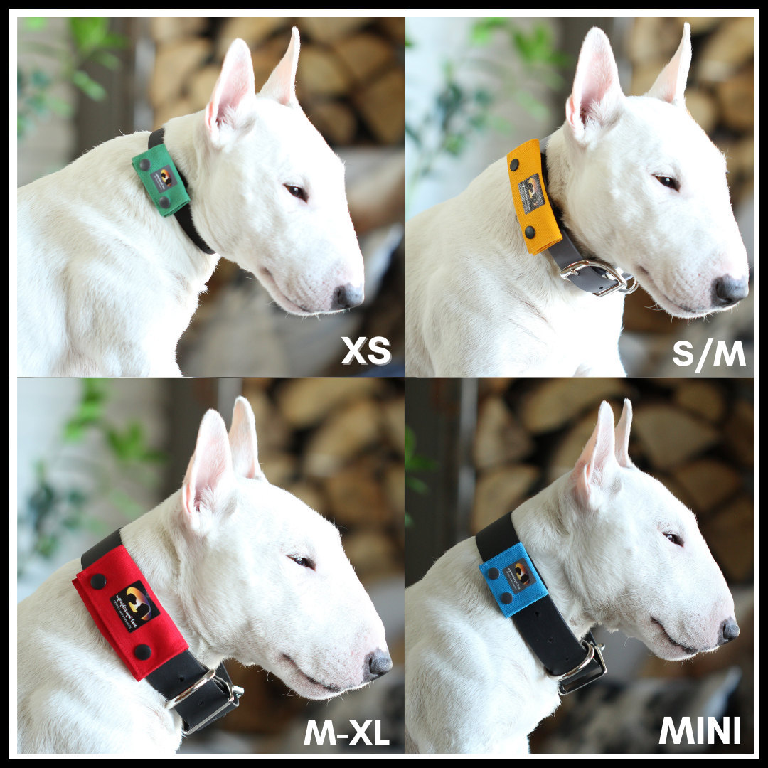 LUTER 2 Pièces Support Airtag Collier Chien, Étanche Étui en Silicone pour Traceur  GPS Étui de Protection pour Airtags pour Chiens Chats Colliers pour Animaux  de Compagnie (Noir + Gris) : : Animalerie