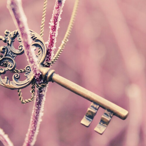 SandyVintageBoutique store logo