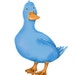 Blue Duck