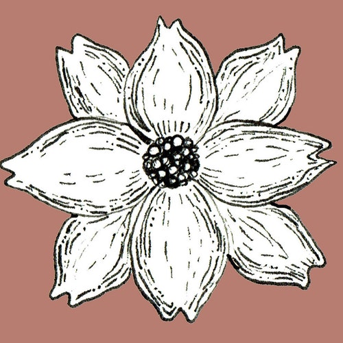 Albumlovehandmade store logo