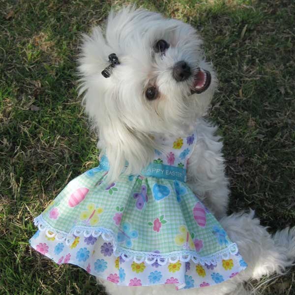 Handmade custom designer dog clothes and by LittleDogFashion