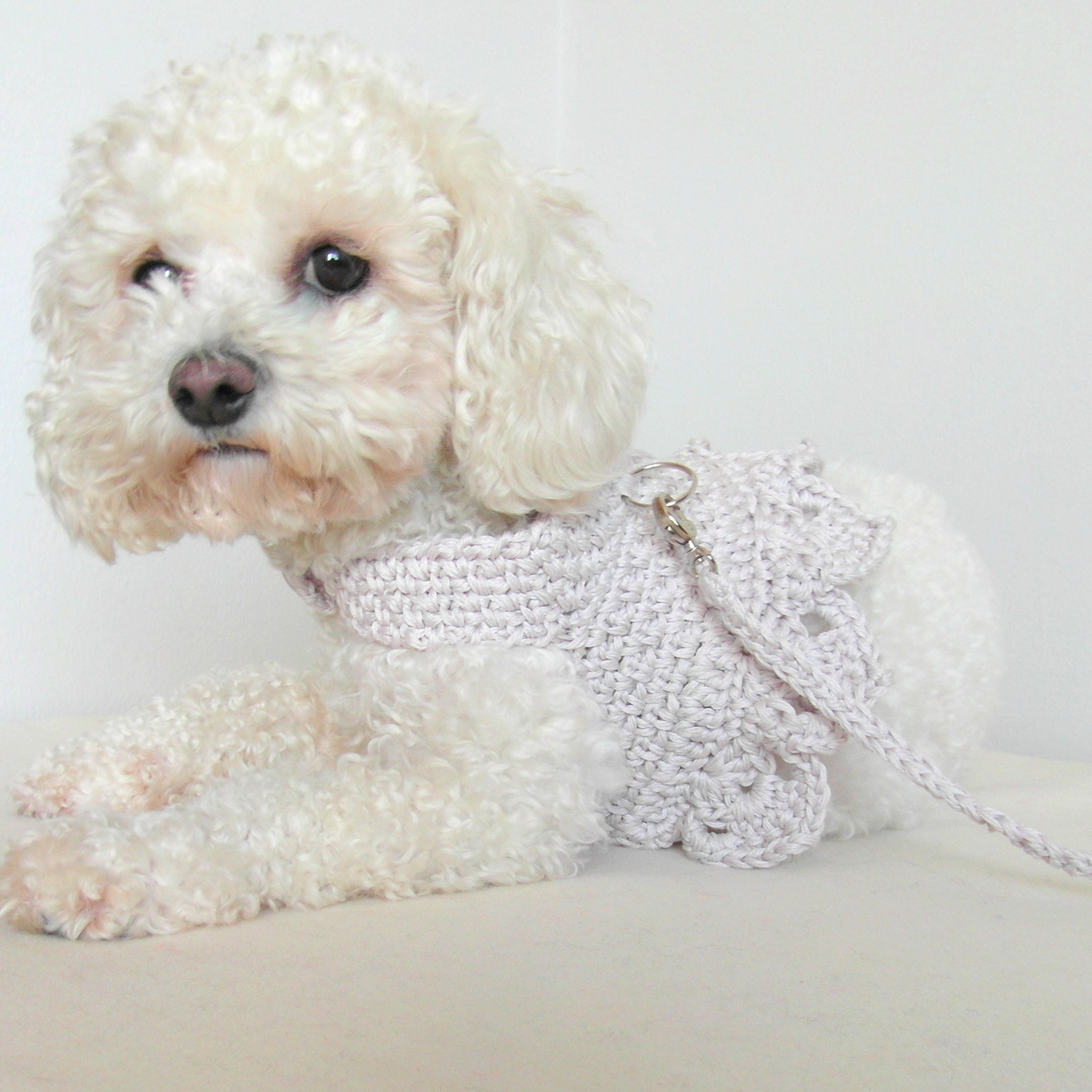 Suéter de algodón para perros ropa para perros pequeños - Etsy España