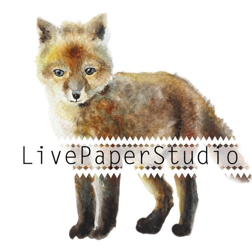 Livepaperstudio store logo