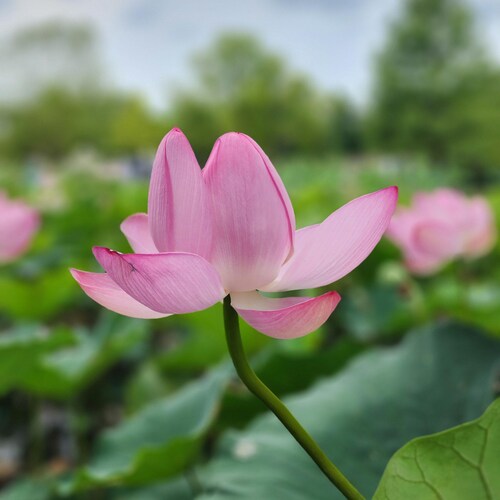 GiftbyRainDesigns Etsy Hong Kong