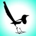 TheMintedMagpie