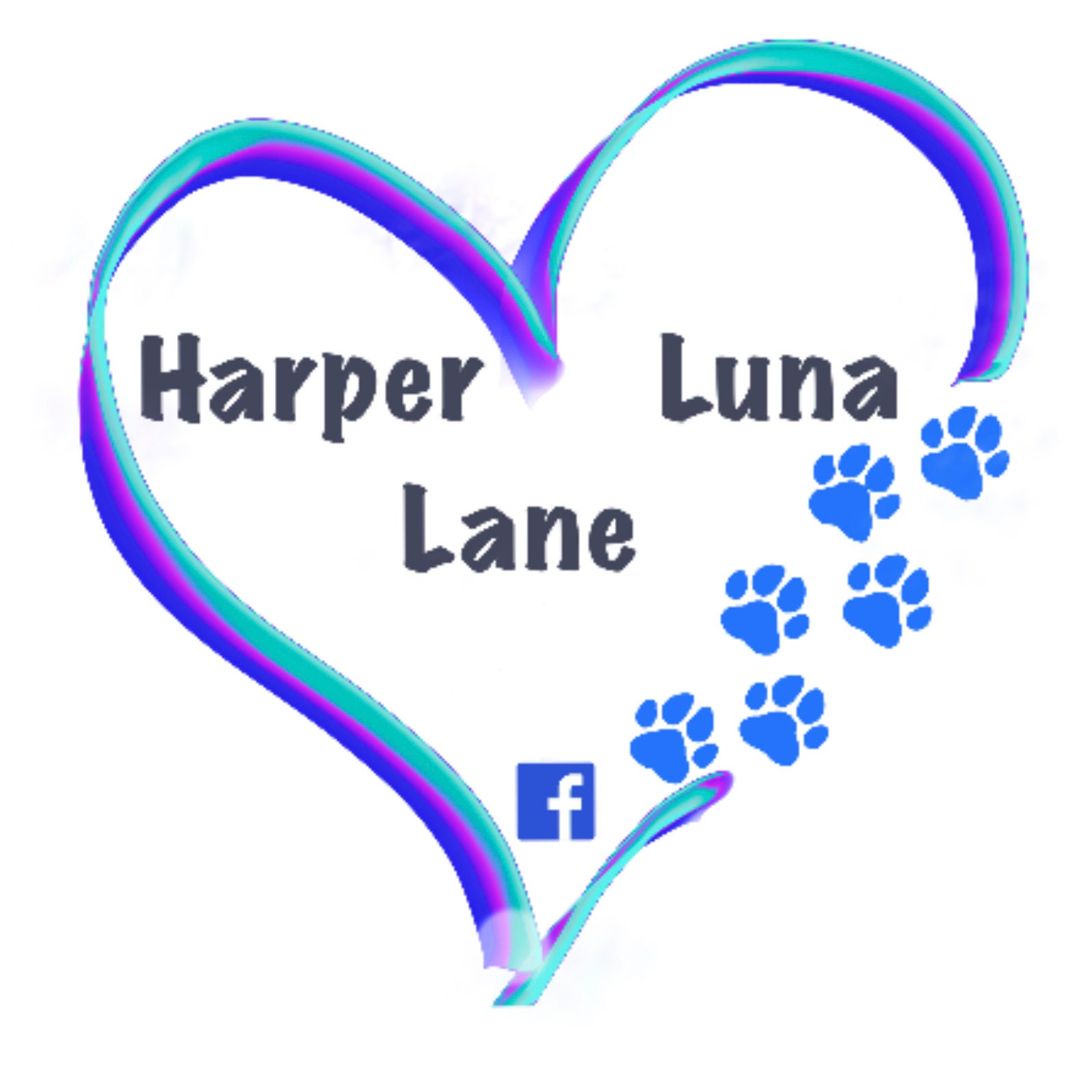 15oz LV Tumbler  Harper Luna Lane