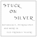 StuckOnSilver