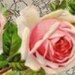 ColettesVintage