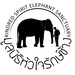 Kindred Spirit Elephant Sanctuary