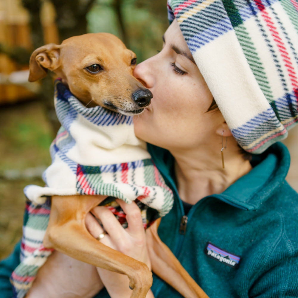 Patagonia dog deals sweater