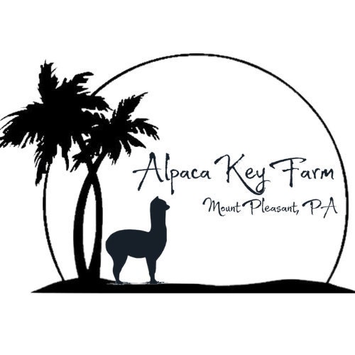 Raw Alpaca Fleece, Raw Alpaca Fiber, Alpaca Wool, Bird Nesting