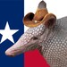 ArmadilloAttic