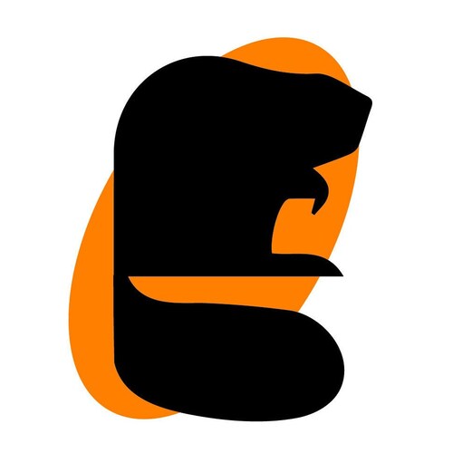 Bababiver store logo