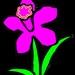 PinkDaffodilJewelry