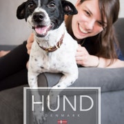 hund dog collars