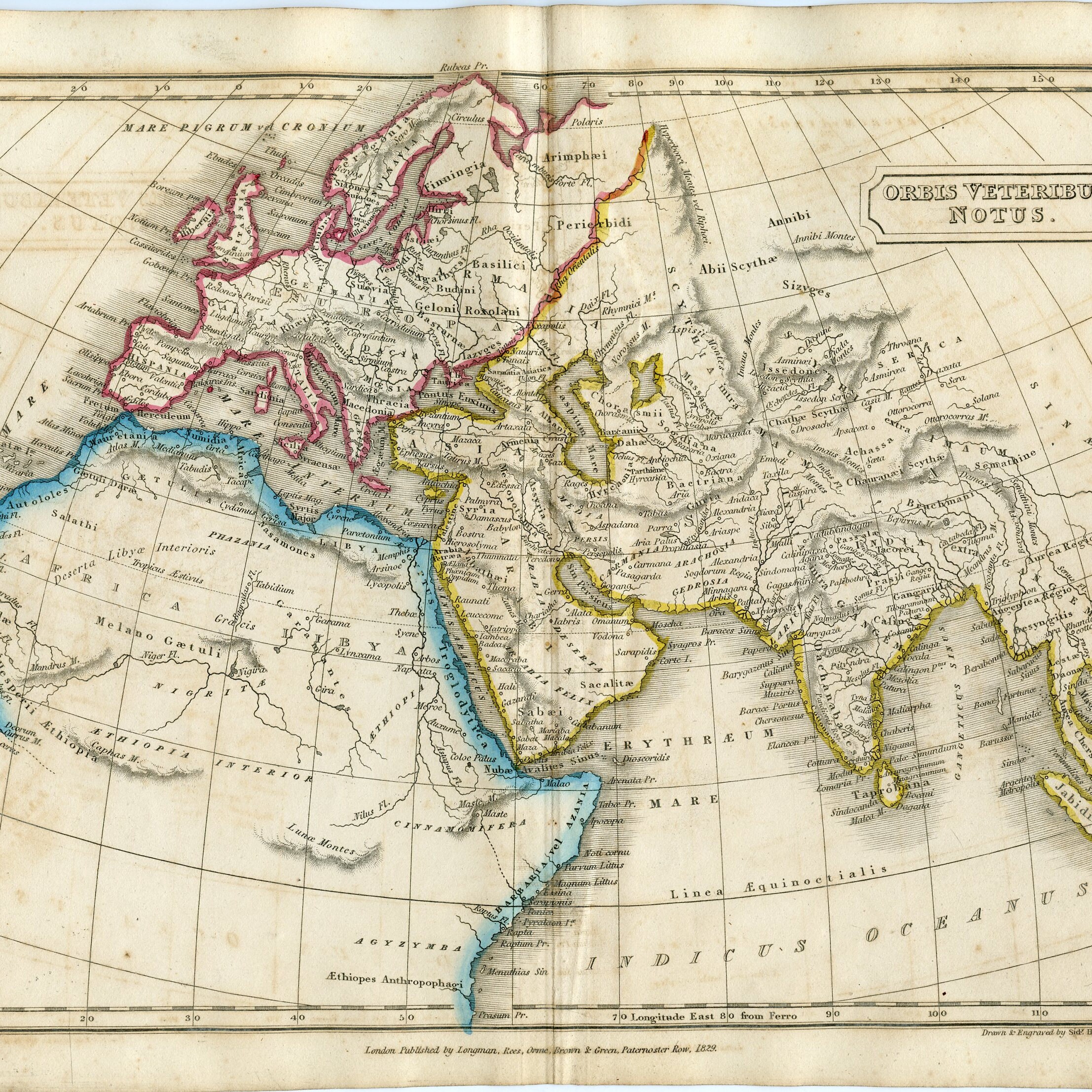 1877 Fossils Of Cretaceous Period Large Original Antique Print Etsy