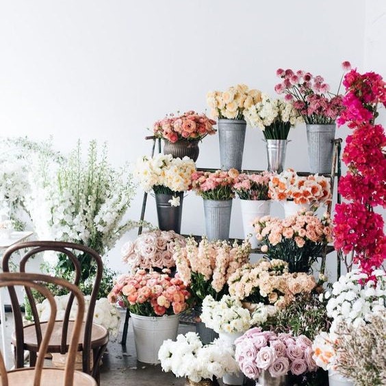 NEW Lady Dezmelda Designer Brocade Jacquard Fabric- Roses Floral