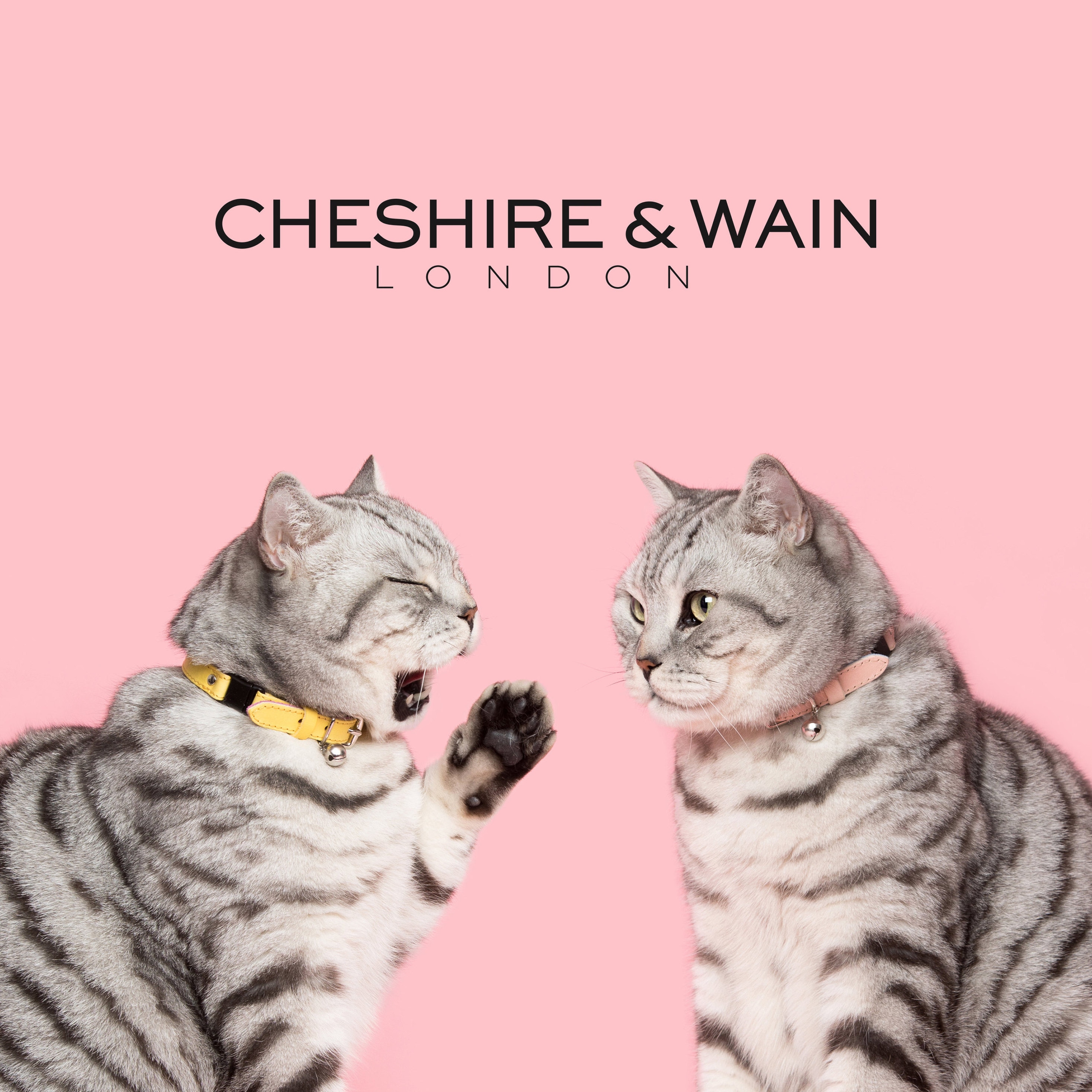 Collections – Cheshire & Wain