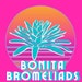 Bonita Bromeliads shopbonitabromeliads.com