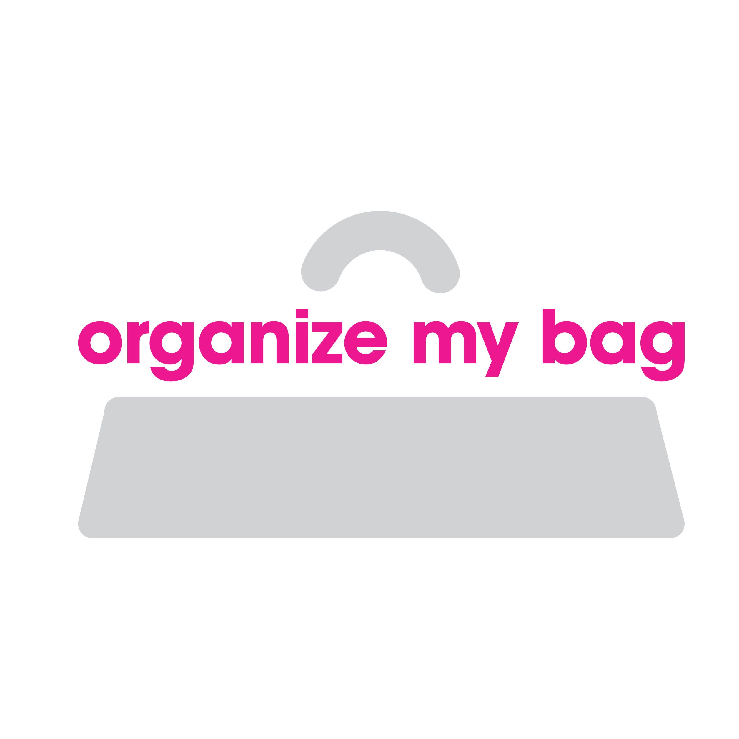 1-180/ LV-Pallas-Beauty-Case) Bag Organizer for LV Pallas Beauty Case -  SAMORGA® Perfect Bag Organizer