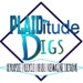 Plaiditudedigs