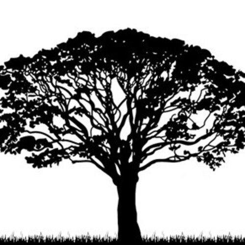AkasiaCaseCraft store logo