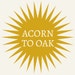 Acorn to Oak