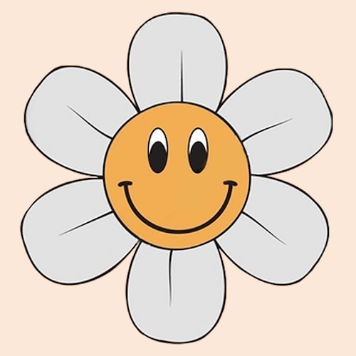 DigitalDaisyStore store logo