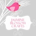Jasmine Blossom Crafts