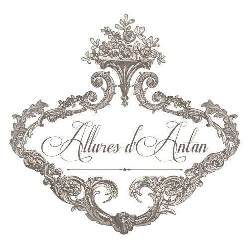 Alluresdantan store logo