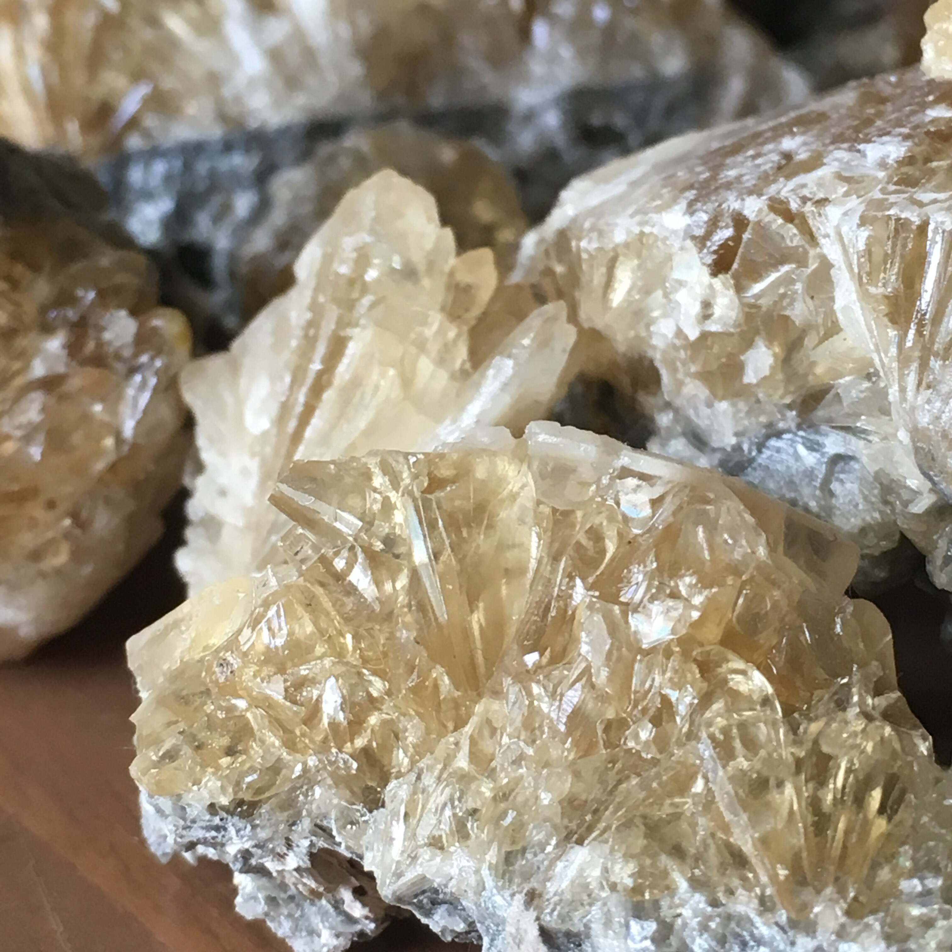 Rare and Unique 2 Million Year Old Crystals and by FloridaCrystal