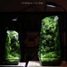 TerraLiving Gallery