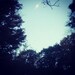 MoonbeamMementos