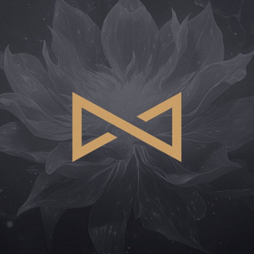 InfinityManaShop store logo