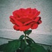 FromBeverlyWithLove
