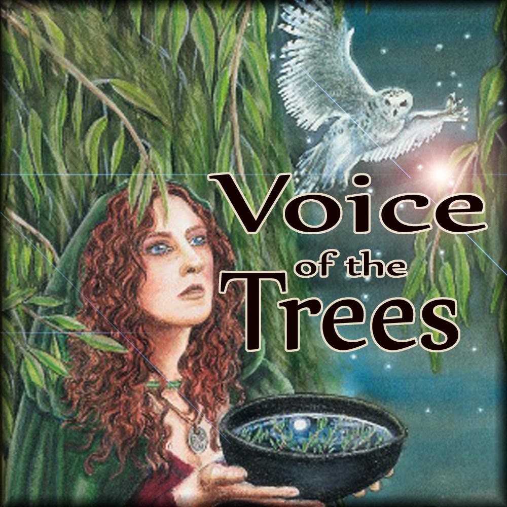 Voice Of The Trees by VoiceOfTheTrees on Etsy