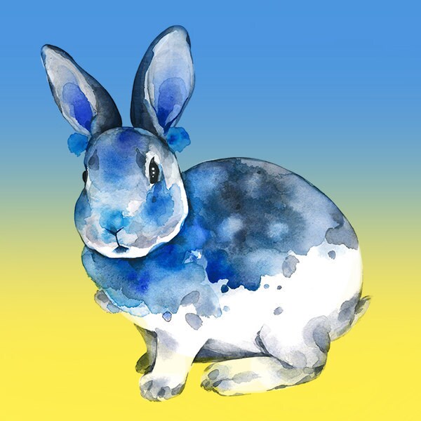 SkyblueRabbit - Etsy