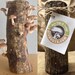 Shiitake Logs