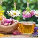 WellsofHealth