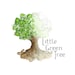 Little Green Tree