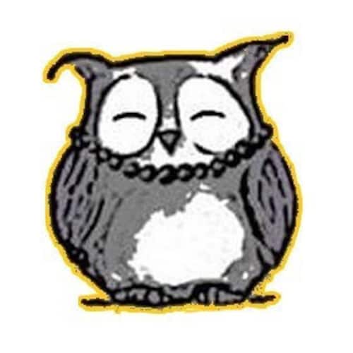 VioletaOwl store logo